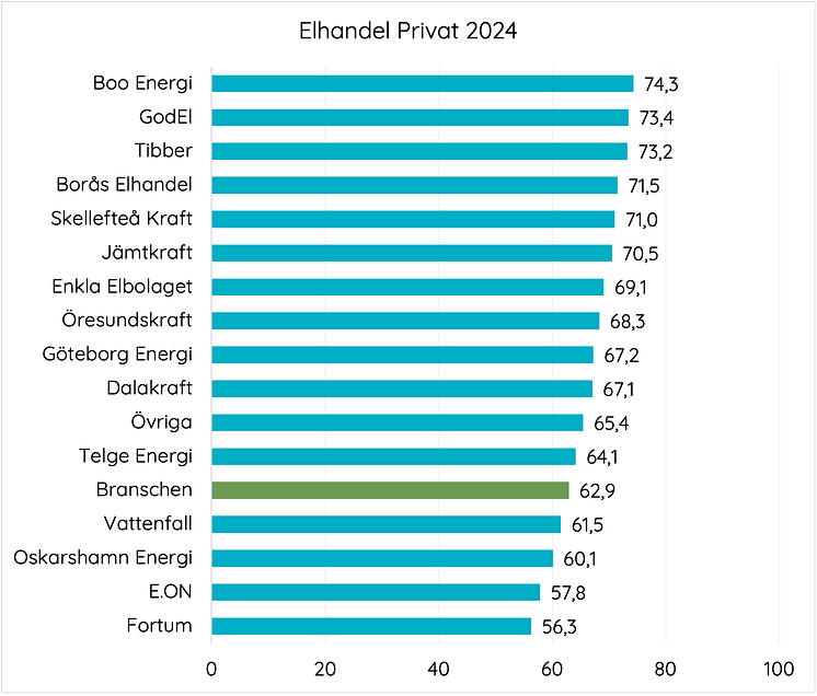 Elhandel privat 2024.png