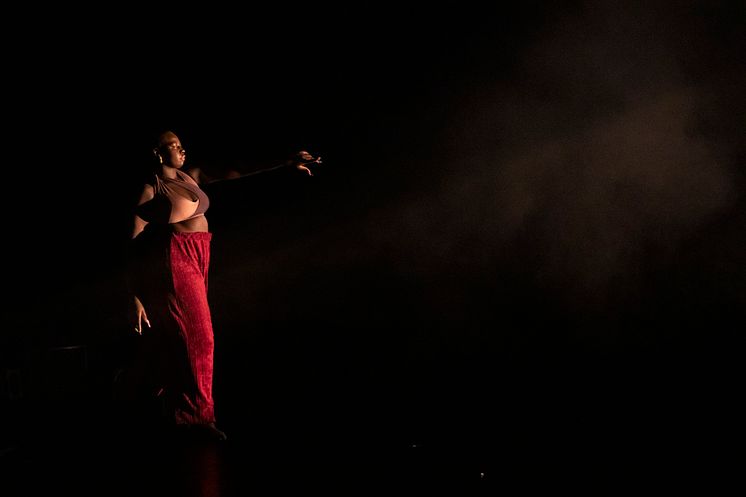 Company Nicolas Huchard - The barefoot diva