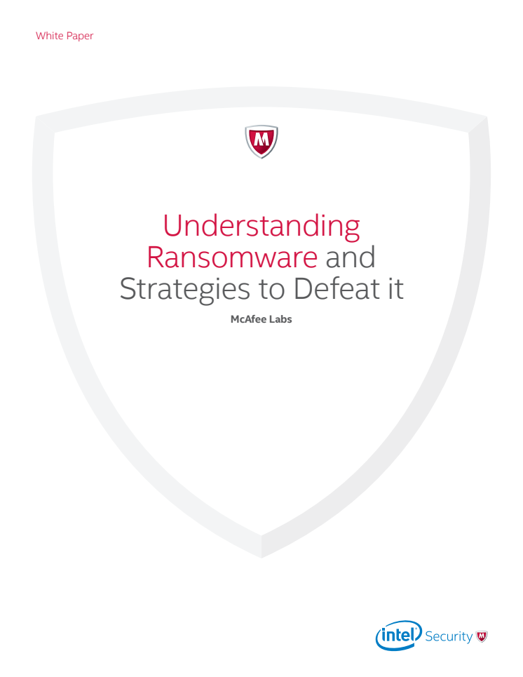 Understanding Ransomware and Strategies to defeat it