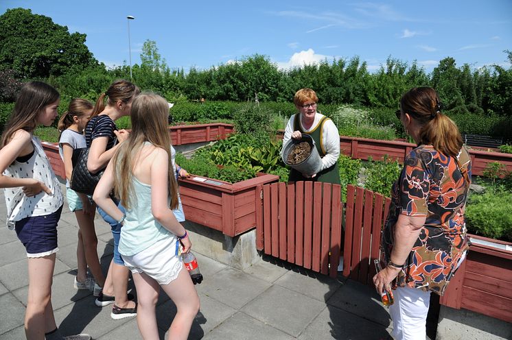 Hamar middelalderfestival på Anno Domkirkeodden