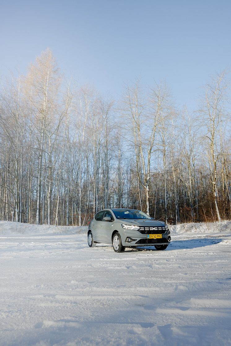 Dacia Sandero frofra