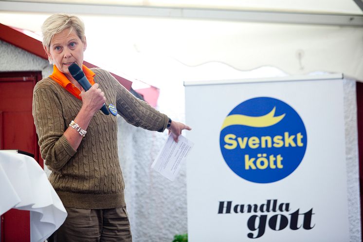 Svenskt Kött i Almedalen 2013: "Sveriges dyraste matkasse?"