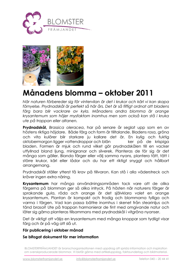 Månadens blomma¬ – oktober 2011