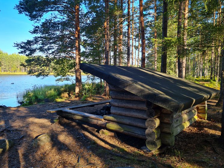 Västra Värmland  Glaskogens Naturrservat Foto Visit Arvika