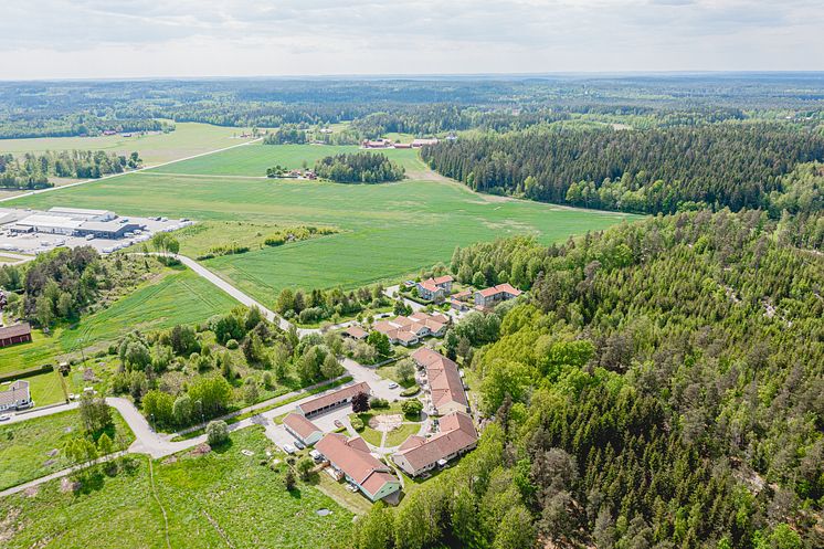 DJI_0228.jpg