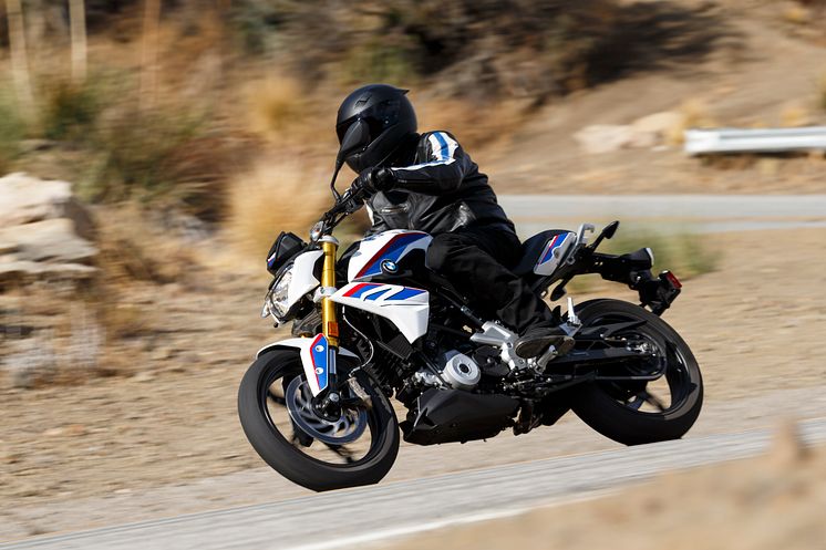 BMW G 310 R