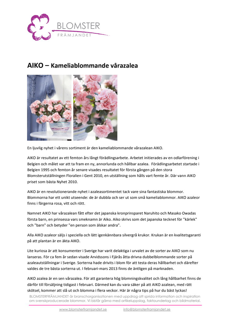 AIKO – kameliablommande vårazalea