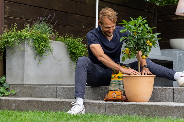 Floragard_Zitrus- und Mediterranpflanzen Erde_Gartenambiente_Pflanzen.jpg