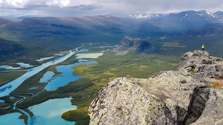 Rapadalen mot Sarek