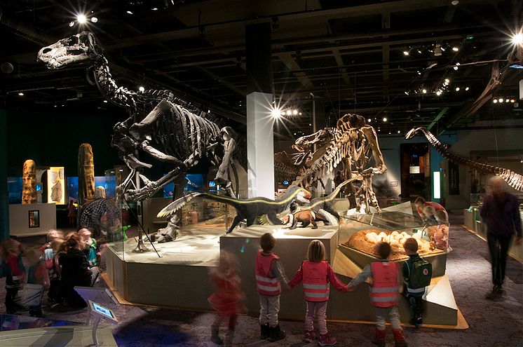 Utställningen Fossil och evolution