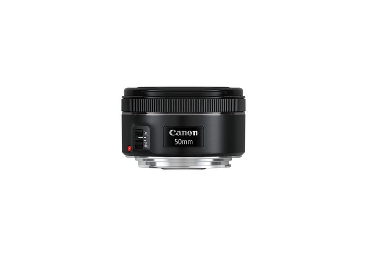 Canon EF 50mm f/1.8 STM Bild 2