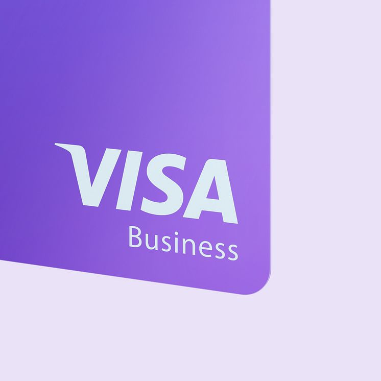 Visa Logo