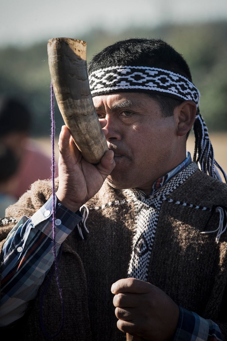 Vino Tayu Ceremonia Mapuche 013.jpg