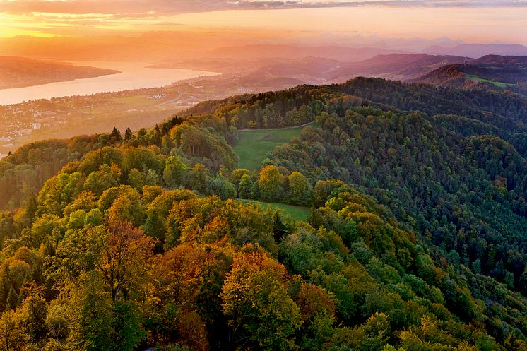 BlickVomUeetlibergUeberDenZuerichsee(c)SchweizTourismus_ChristofSonderegger