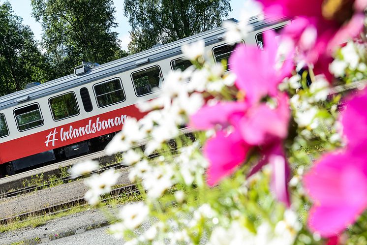 Sommartrafik