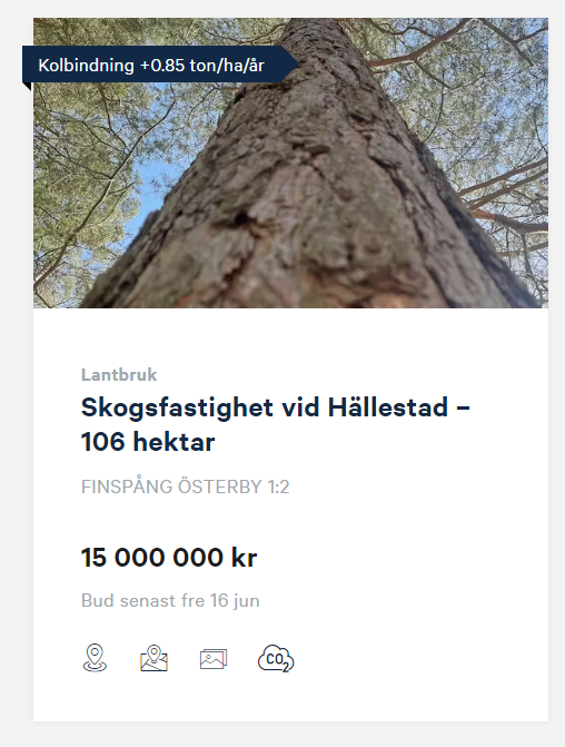 Kolinlagring