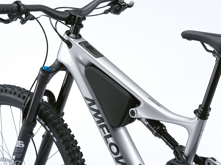 Amflow PL Carbon bike 3.jpg
