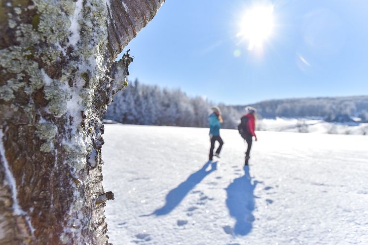 Seiffen im Schnee_Foto S. Wermes