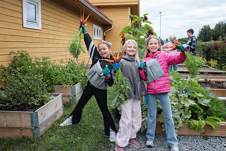 Hebekk skolehage_ Økologisk Norge_Foto Birgitta Eva Hollander