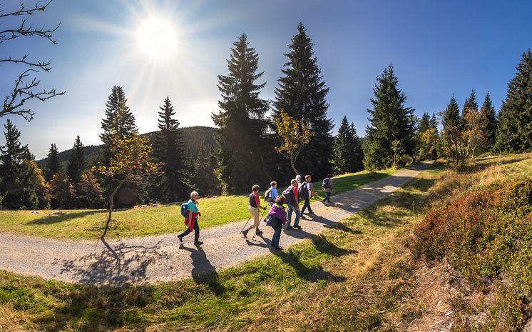 Wanderung_Wanderwochen_Gruppe_Oberwiesenthal Foto_TVE_UweMeinhold14