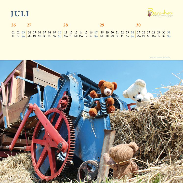 Bärenherz-Kalender für 2016 verfügbar