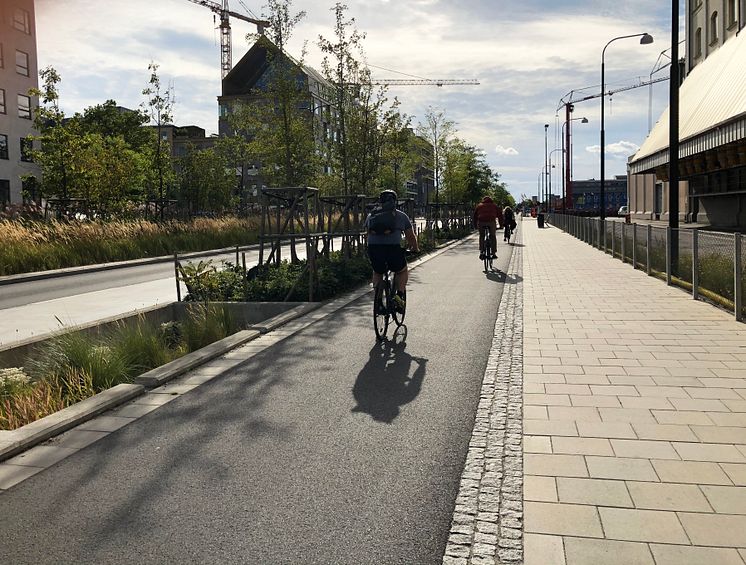 Biobäddar_Neptunigatan i Malmö_cyklister.jpg