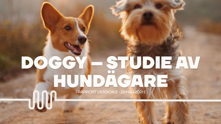 Doggy - studie av hundägare.pdf