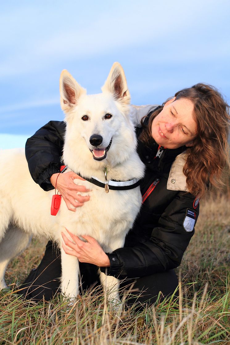 Årets bragdhund 2013