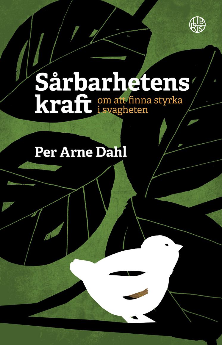 Sårbarhetens kraft