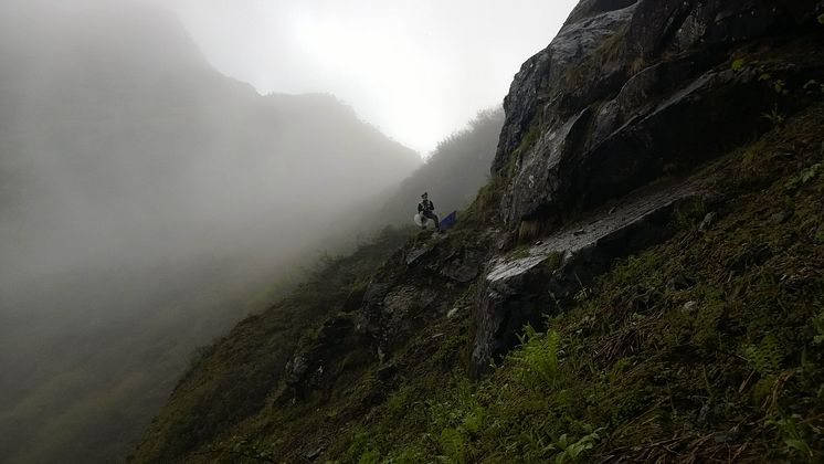 Professor Per Alström, looking for Himalayan Forest Thrush