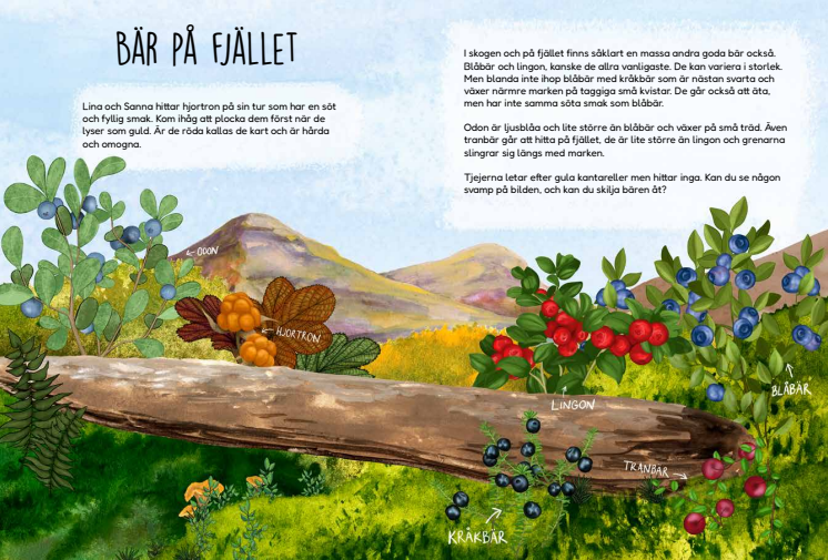 Sida 104-105 Bär på fjället.pdf