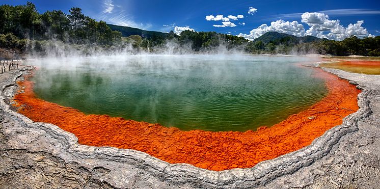 Rotorua och champagne pool - Nya Zeeland