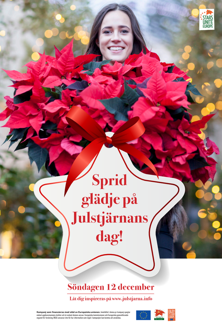 Sprid glädja på julstjärnans dag - annons