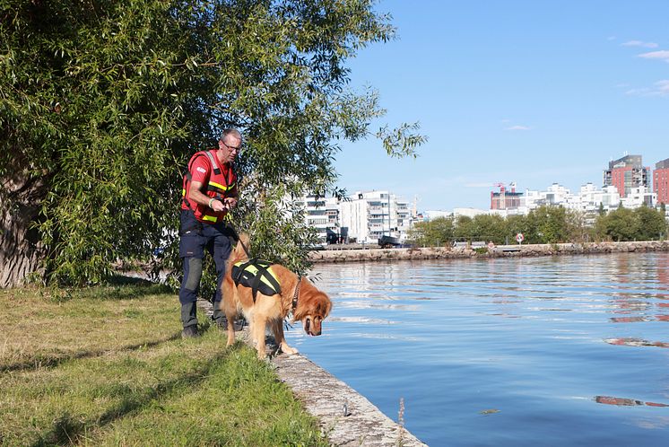 Sjöräddningshunden Bruse