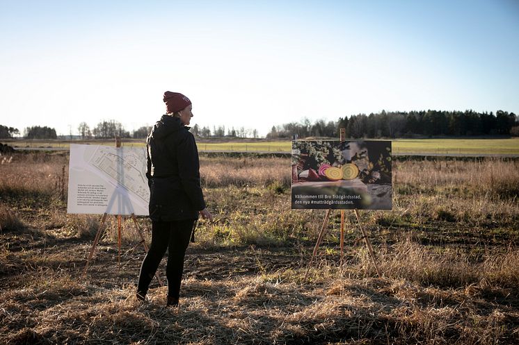 Invigning av Odla livet i Bro Trädgårdsstad 