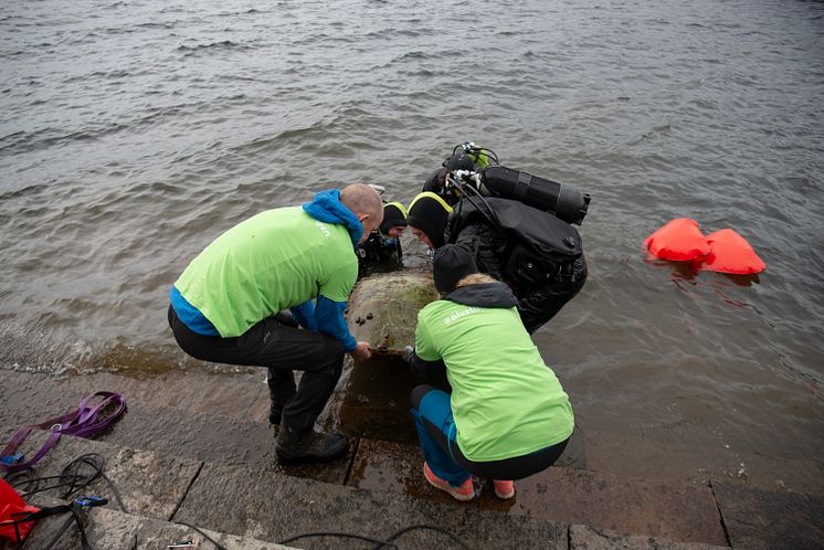 Älvstädningen 2019 Indalsälven