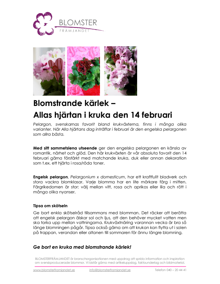 Blomstrande kärlek –  Allas hjärtan i kruka den 14 februari