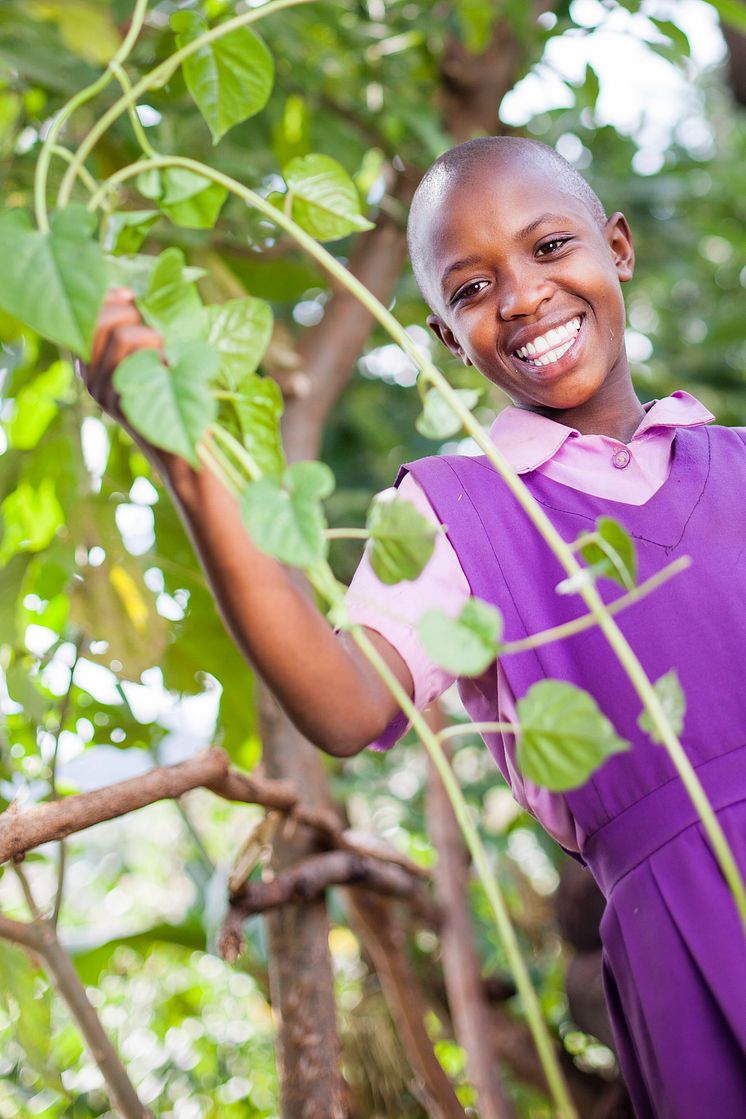Pant blir träd - som ger pengar till barnens utbildning