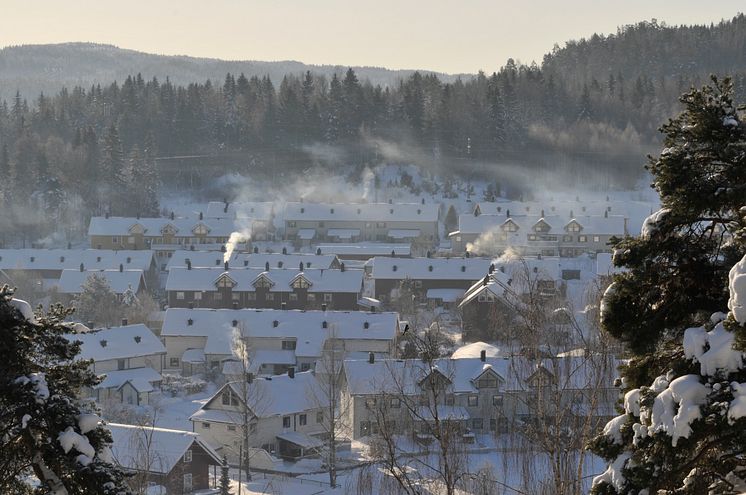 Oslo-vedfyring-foto_Stein_Manø_NILU