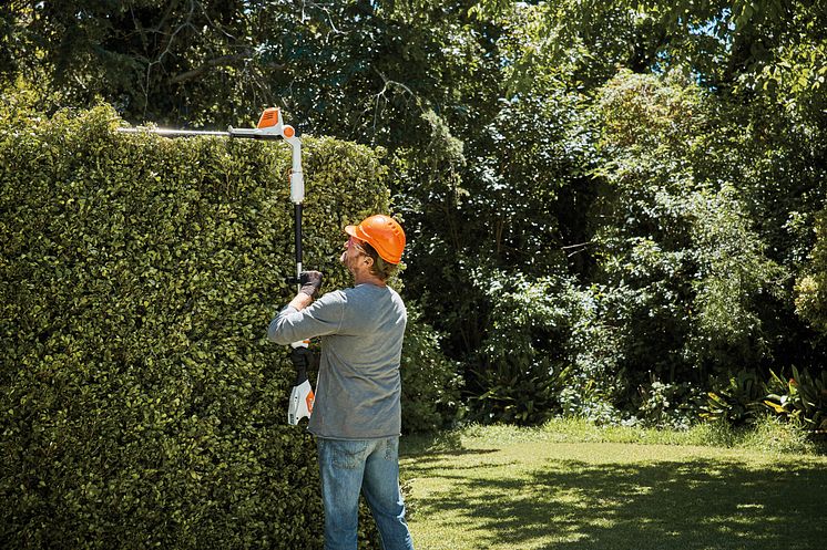 Hækpleje - tips fra STIHL