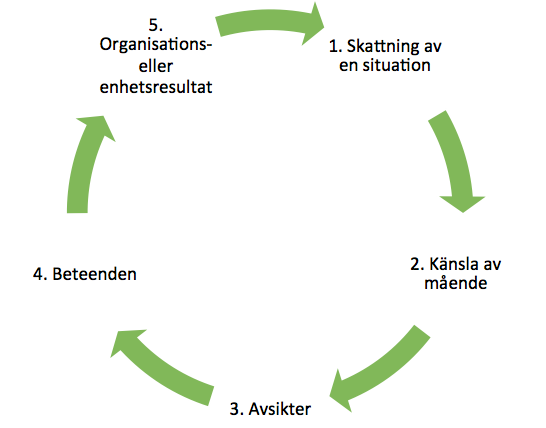 Modell: Den process som alla medarbetare på en arbetsplats går igenom