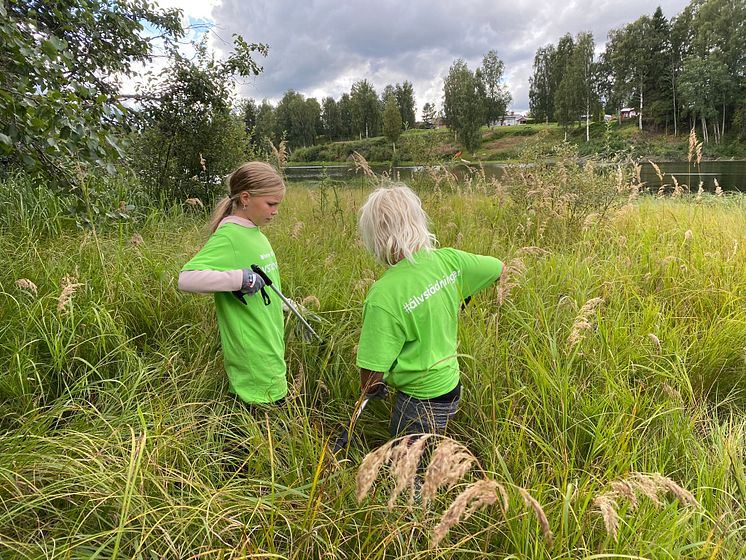 Älvstädningen Dalälven, Flickor från Dala-Floda IF