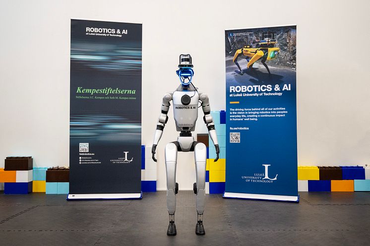 humanoid_3_low.jpg