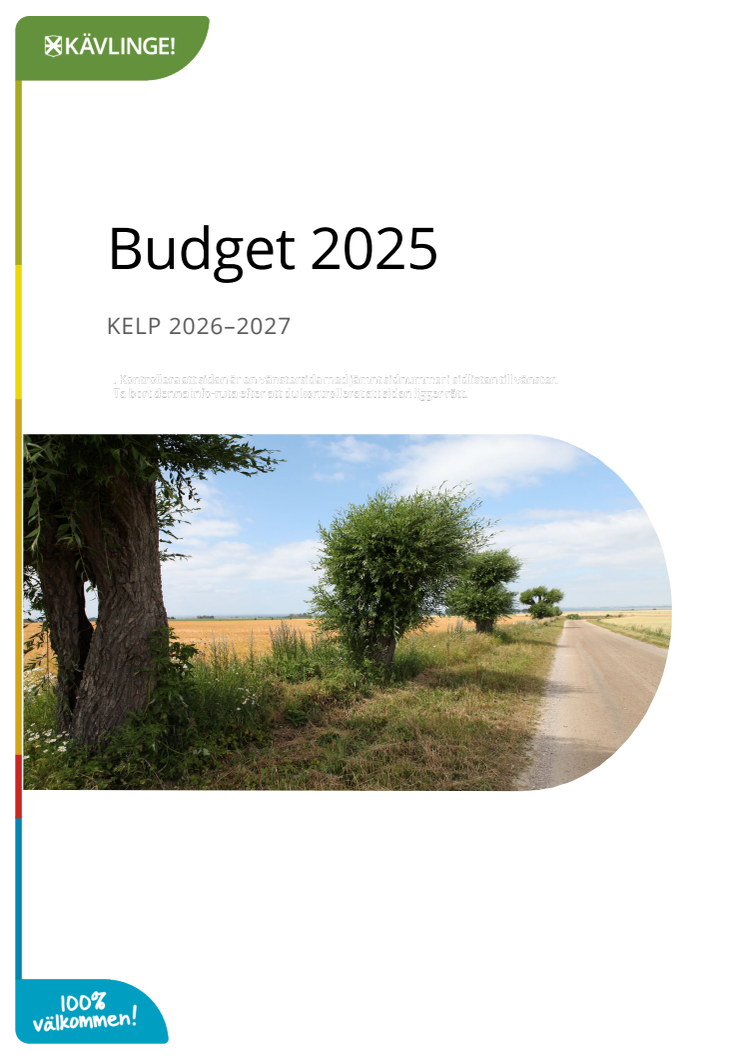 Budget 2025.pdf