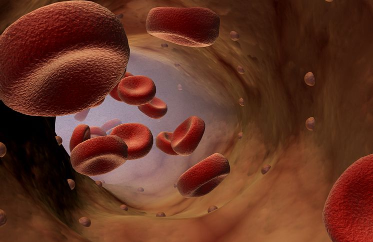 Celler i blodet