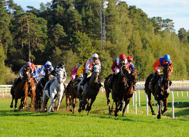 Täby Galopp kurva