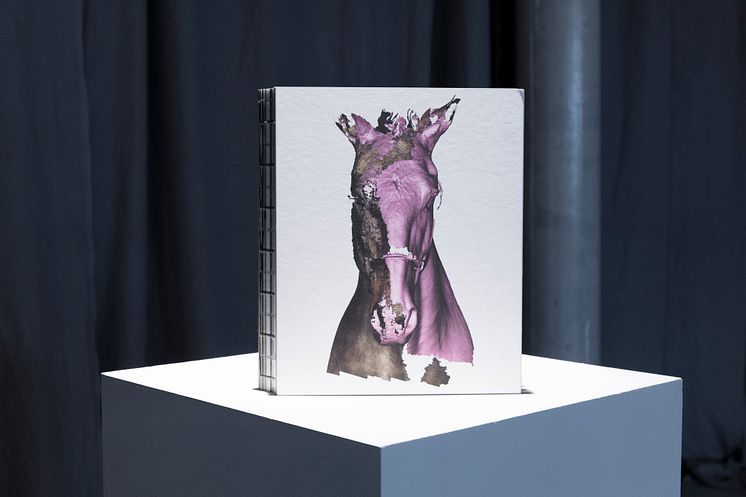 bokomslag_Tove Kjellmark_The Horse, the Robot and the Immeasurable_2022