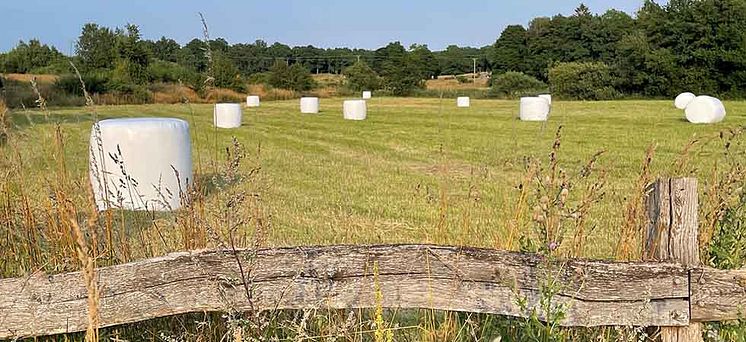 Ensilagebalar.jpg
