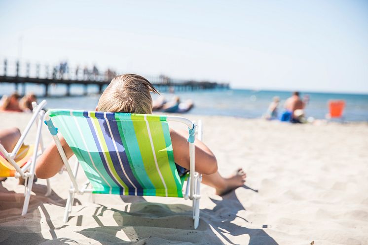 Strandliv på Skrea strand