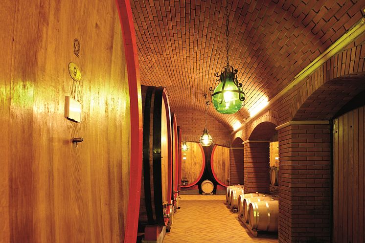 Allegrini's Historic Cellar